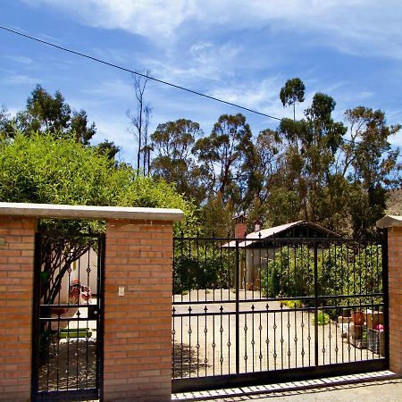 Hostal Vientos Del Altiplano Putre Εξωτερικό φωτογραφία