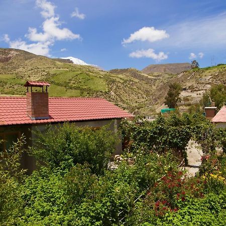 Hostal Vientos Del Altiplano Putre Εξωτερικό φωτογραφία