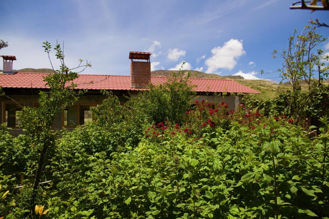 Hostal Vientos Del Altiplano Putre Εξωτερικό φωτογραφία