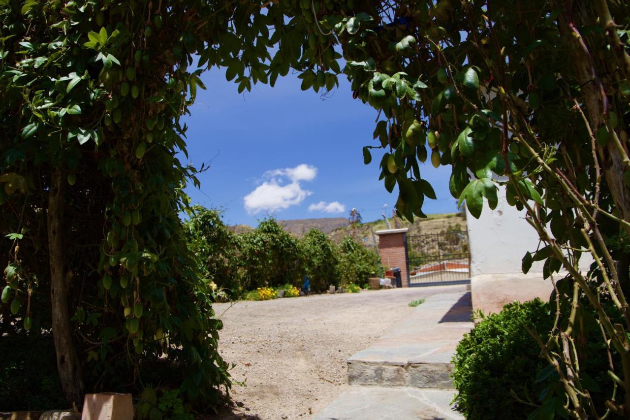 Hostal Vientos Del Altiplano Putre Εξωτερικό φωτογραφία