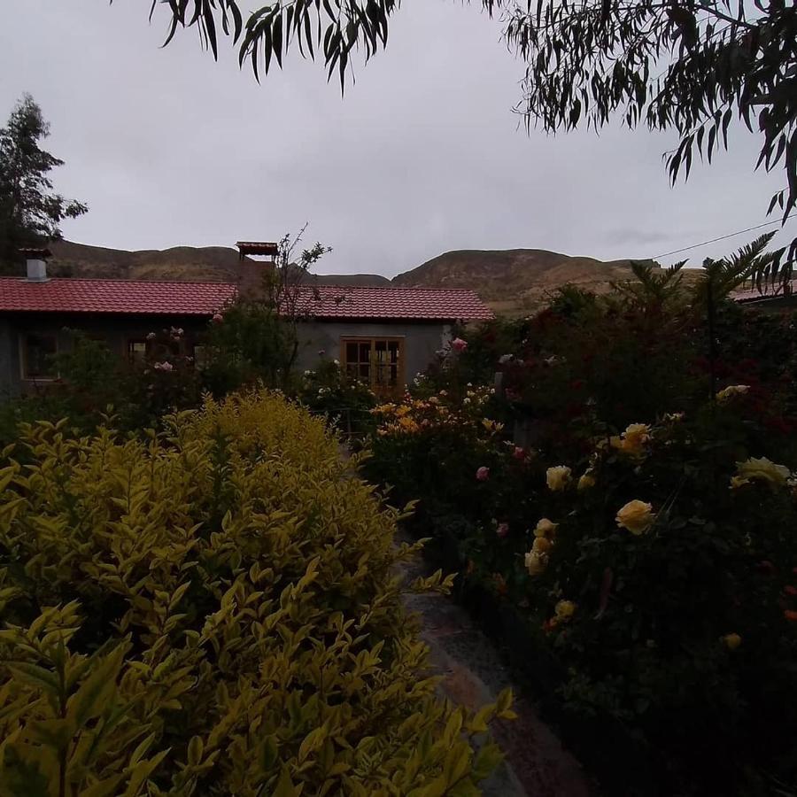 Hostal Vientos Del Altiplano Putre Εξωτερικό φωτογραφία