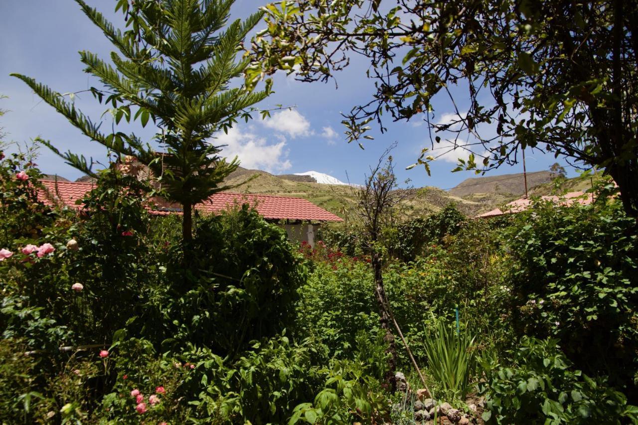 Hostal Vientos Del Altiplano Putre Εξωτερικό φωτογραφία