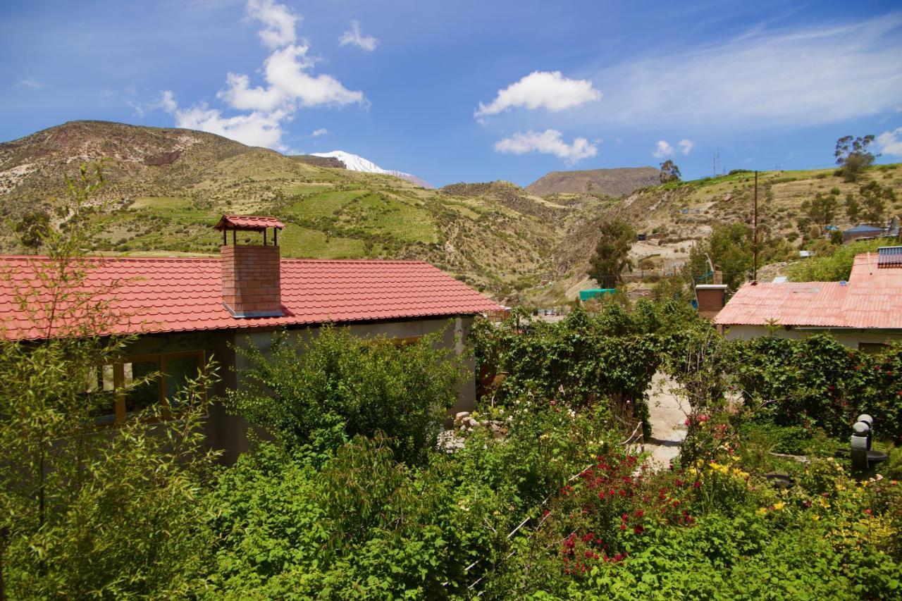 Hostal Vientos Del Altiplano Putre Εξωτερικό φωτογραφία