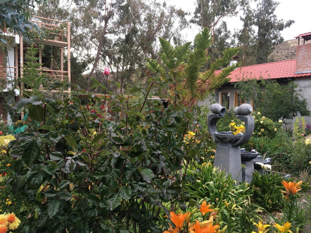 Hostal Vientos Del Altiplano Putre Εξωτερικό φωτογραφία